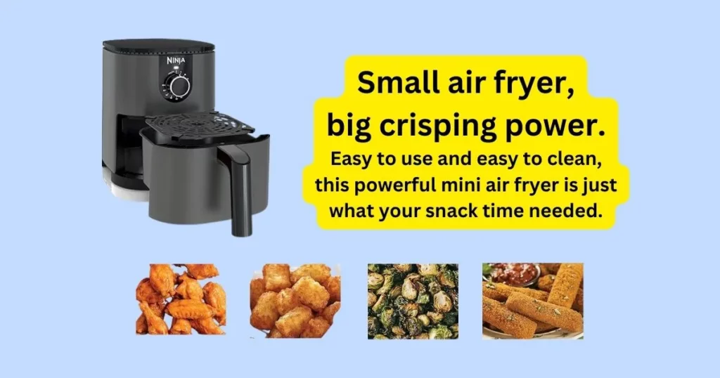 The Best Ninja AF080 Mini Air Fryer Reviews 