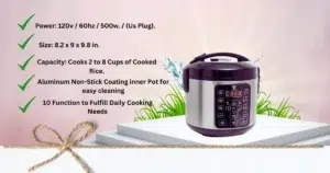 Stone Rice Cooker